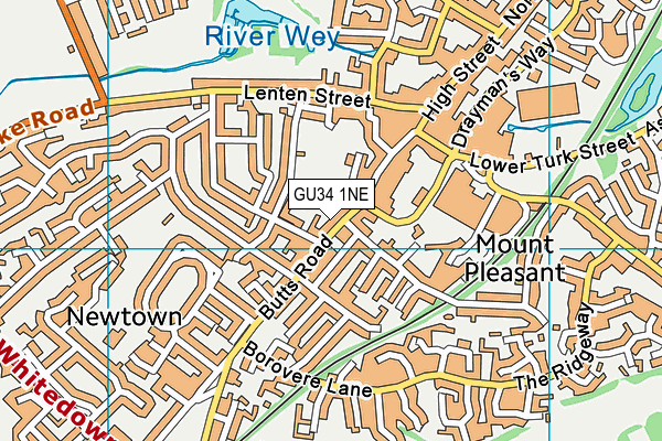 GU34 1NE map - OS VectorMap District (Ordnance Survey)