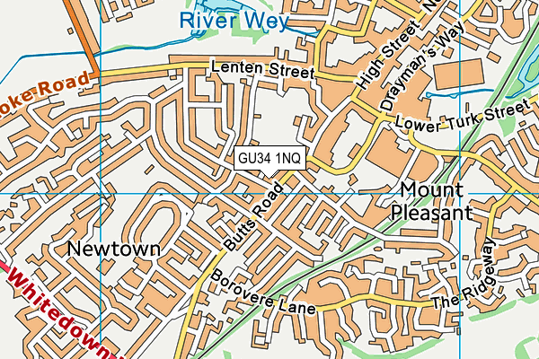 GU34 1NQ map - OS VectorMap District (Ordnance Survey)