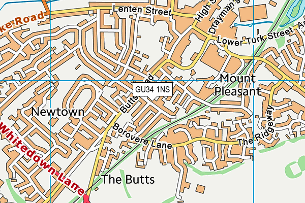 GU34 1NS map - OS VectorMap District (Ordnance Survey)