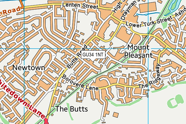 GU34 1NT map - OS VectorMap District (Ordnance Survey)