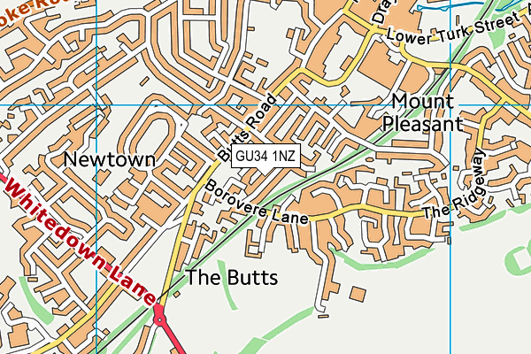 GU34 1NZ map - OS VectorMap District (Ordnance Survey)