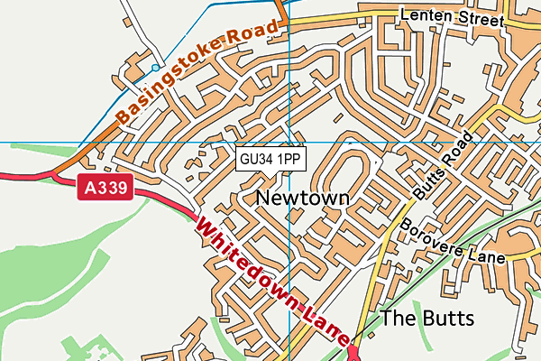 GU34 1PP map - OS VectorMap District (Ordnance Survey)