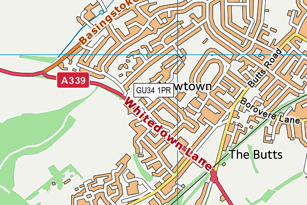 GU34 1PR map - OS VectorMap District (Ordnance Survey)