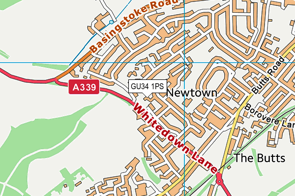 GU34 1PS map - OS VectorMap District (Ordnance Survey)