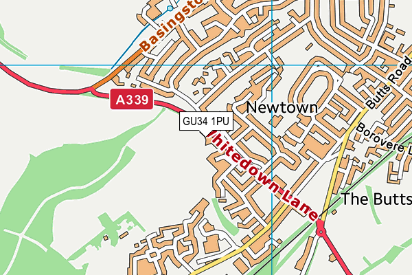 GU34 1PU map - OS VectorMap District (Ordnance Survey)