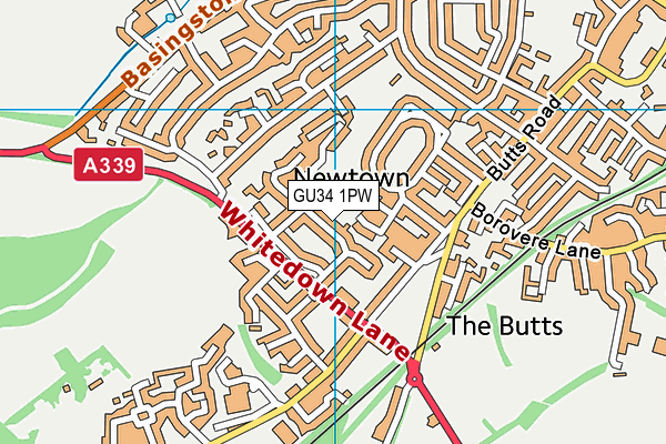The Butts Primary School map (GU34 1PW) - OS VectorMap District (Ordnance Survey)