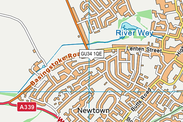 GU34 1QE map - OS VectorMap District (Ordnance Survey)