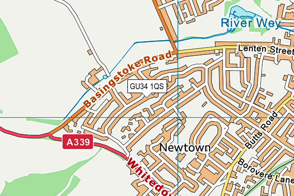 GU34 1QS map - OS VectorMap District (Ordnance Survey)