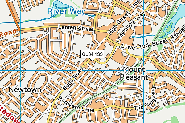 GU34 1SS map - OS VectorMap District (Ordnance Survey)