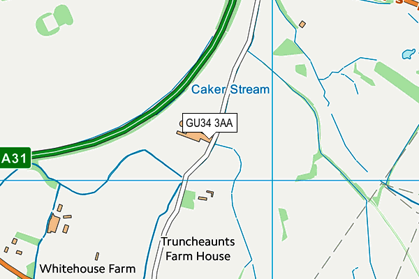 GU34 3AA map - OS VectorMap District (Ordnance Survey)