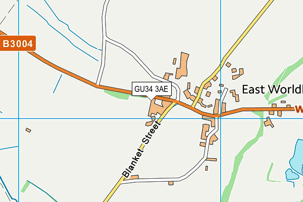 GU34 3AE map - OS VectorMap District (Ordnance Survey)