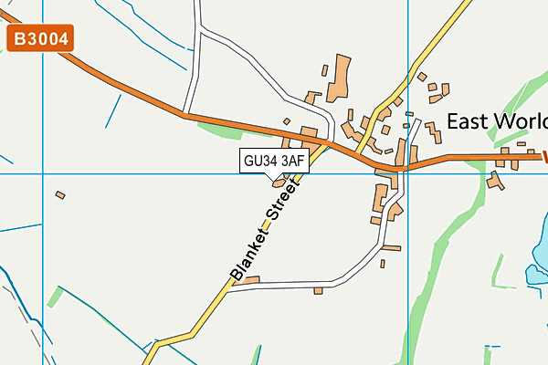 GU34 3AF map - OS VectorMap District (Ordnance Survey)