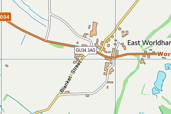 GU34 3AG map - OS VectorMap District (Ordnance Survey)