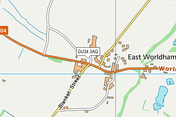 GU34 3AQ map - OS VectorMap District (Ordnance Survey)