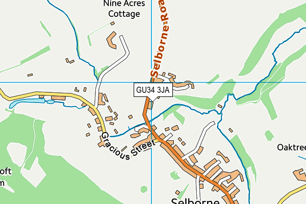 Selborne Church of England Primary School map (GU34 3JA) - OS VectorMap District (Ordnance Survey)