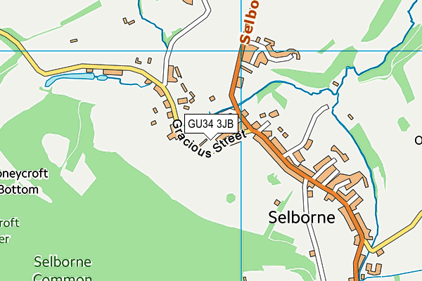 GU34 3JB map - OS VectorMap District (Ordnance Survey)