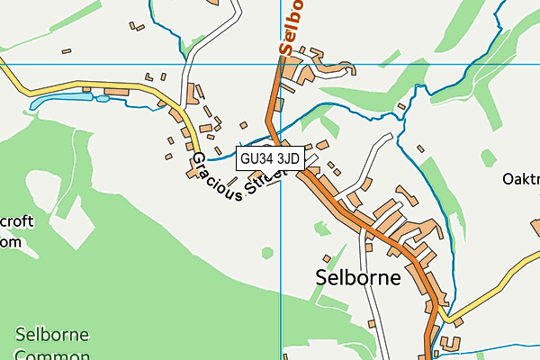 GU34 3JD map - OS VectorMap District (Ordnance Survey)