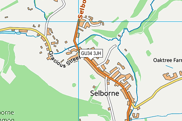 GU34 3JH map - OS VectorMap District (Ordnance Survey)