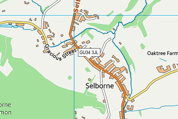 GU34 3JL map - OS VectorMap District (Ordnance Survey)