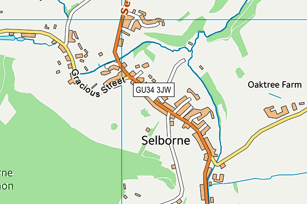 GU34 3JW map - OS VectorMap District (Ordnance Survey)