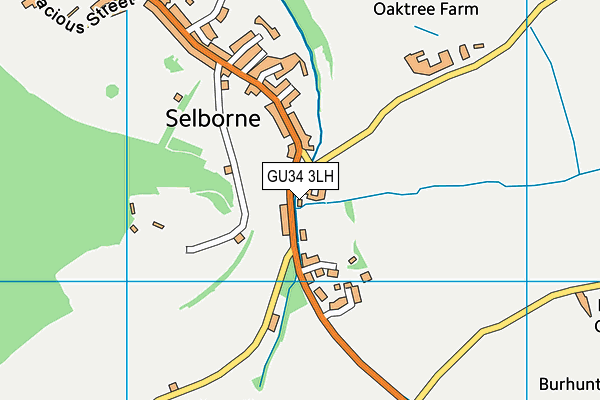 GU34 3LH map - OS VectorMap District (Ordnance Survey)