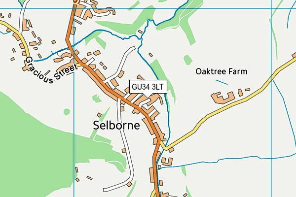 GU34 3LT map - OS VectorMap District (Ordnance Survey)