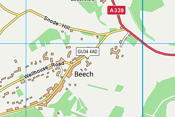 GU34 4AD map - OS VectorMap District (Ordnance Survey)