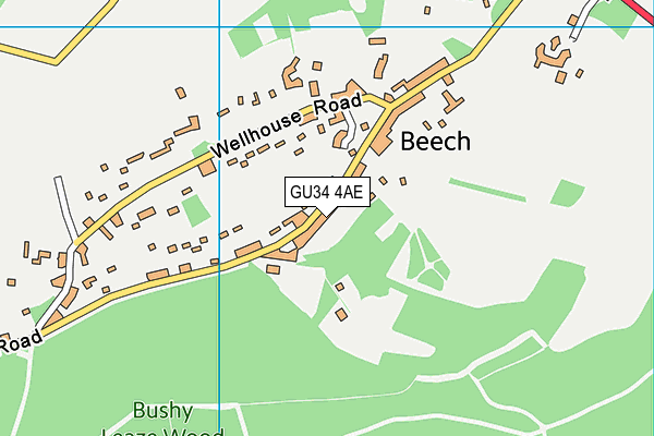 GU34 4AE map - OS VectorMap District (Ordnance Survey)