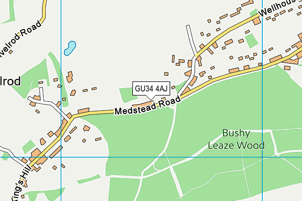 GU34 4AJ map - OS VectorMap District (Ordnance Survey)
