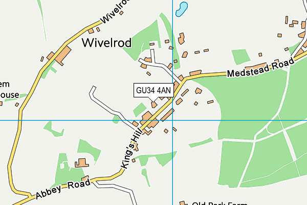 GU34 4AN map - OS VectorMap District (Ordnance Survey)