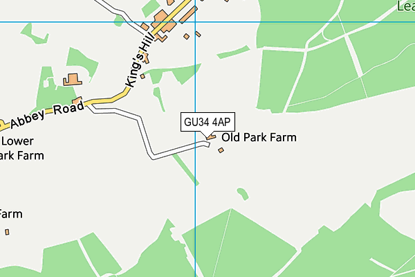 GU34 4AP map - OS VectorMap District (Ordnance Survey)