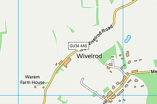 GU34 4AS map - OS VectorMap District (Ordnance Survey)