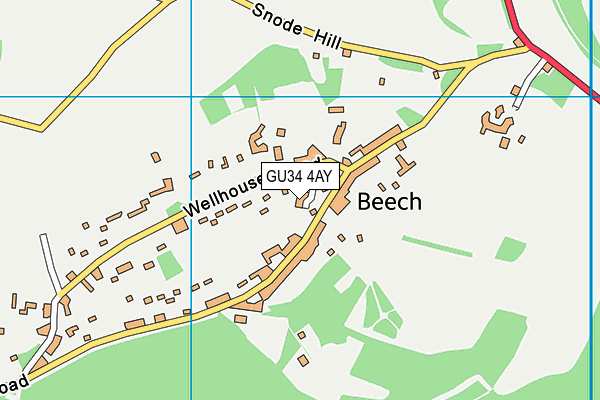 GU34 4AY map - OS VectorMap District (Ordnance Survey)