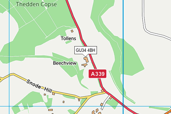 GU34 4BH map - OS VectorMap District (Ordnance Survey)
