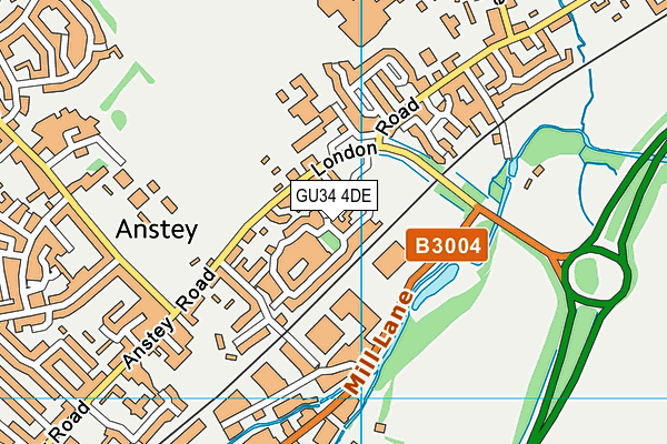 GU34 4DE map - OS VectorMap District (Ordnance Survey)