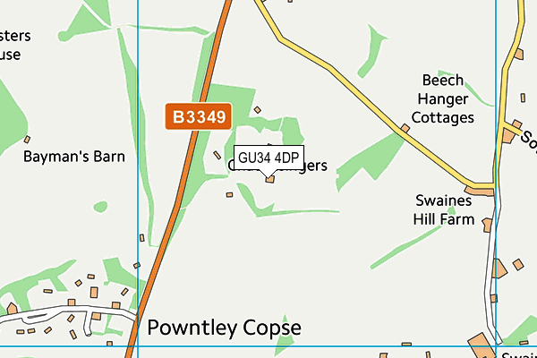 GU34 4DP map - OS VectorMap District (Ordnance Survey)