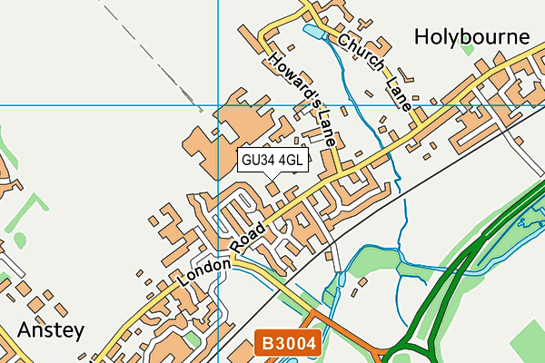 Treloar School map (GU34 4GL) - OS VectorMap District (Ordnance Survey)