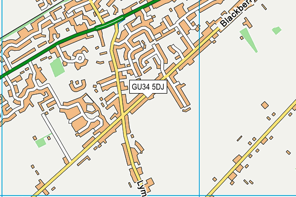 GU34 5DJ map - OS VectorMap District (Ordnance Survey)