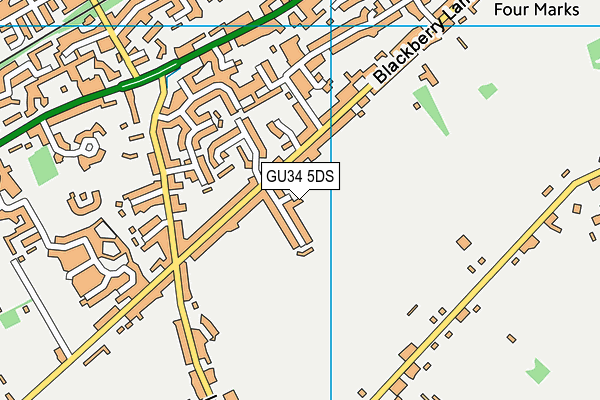 GU34 5DS map - OS VectorMap District (Ordnance Survey)