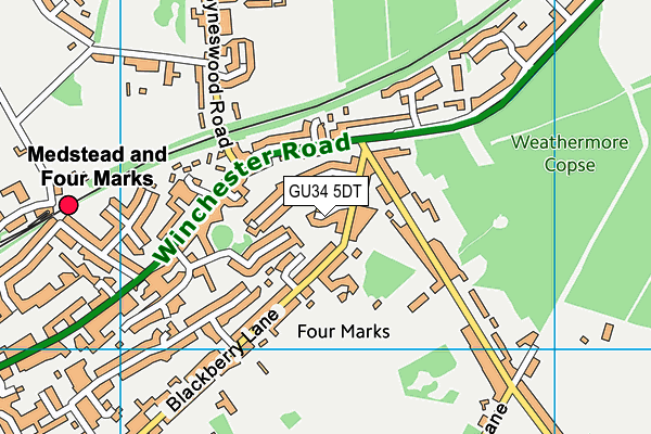 GU34 5DT map - OS VectorMap District (Ordnance Survey)