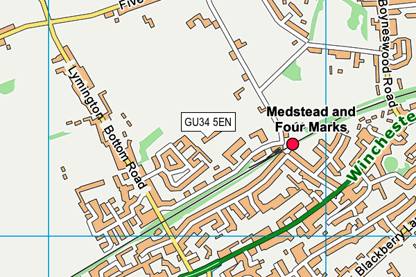 GU34 5EN map - OS VectorMap District (Ordnance Survey)