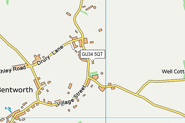 GU34 5QT map - OS VectorMap District (Ordnance Survey)