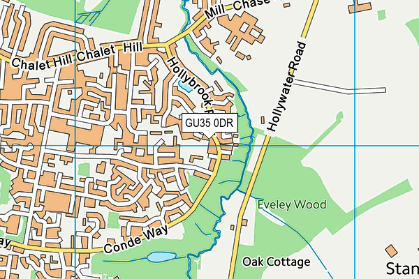 GU35 0DR map - OS VectorMap District (Ordnance Survey)