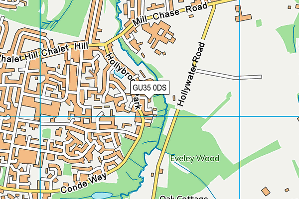 GU35 0DS map - OS VectorMap District (Ordnance Survey)