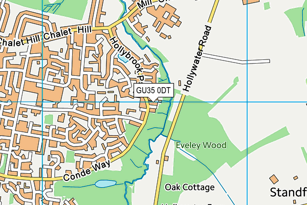 GU35 0DT map - OS VectorMap District (Ordnance Survey)