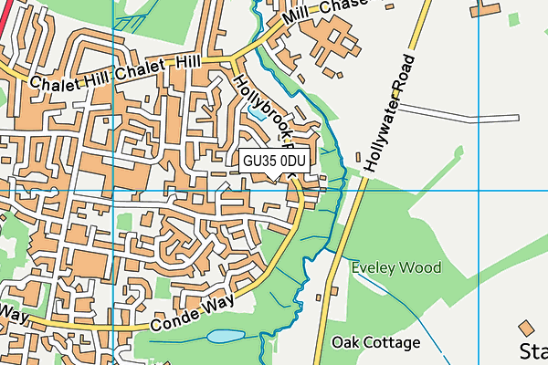 GU35 0DU map - OS VectorMap District (Ordnance Survey)