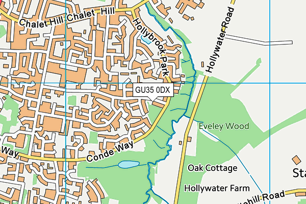 GU35 0DX map - OS VectorMap District (Ordnance Survey)