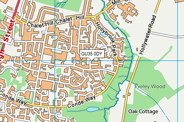 GU35 0DY map - OS VectorMap District (Ordnance Survey)