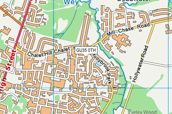 GU35 0TH map - OS VectorMap District (Ordnance Survey)