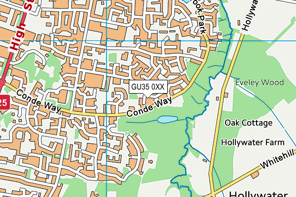 GU35 0XX map - OS VectorMap District (Ordnance Survey)